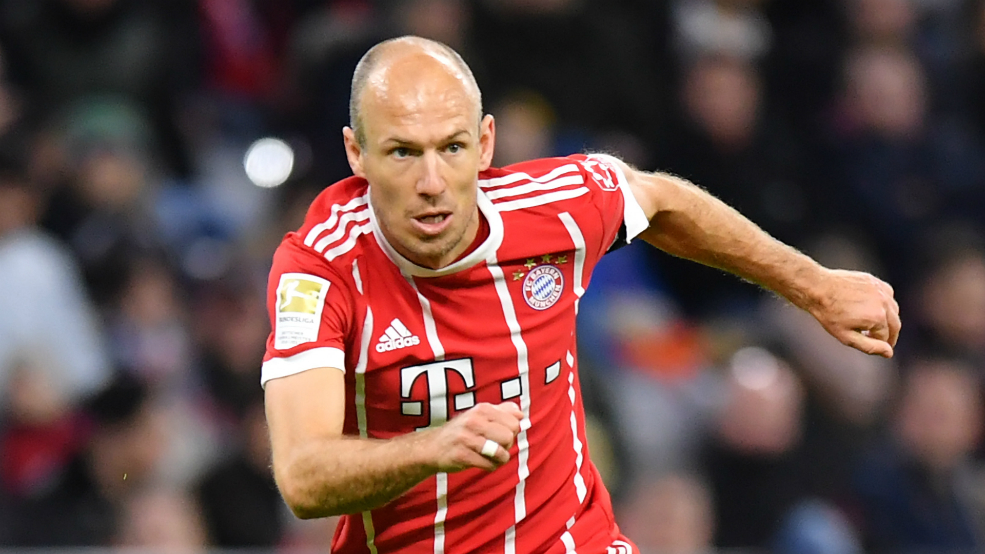 Robben Englisch Robben Englisch